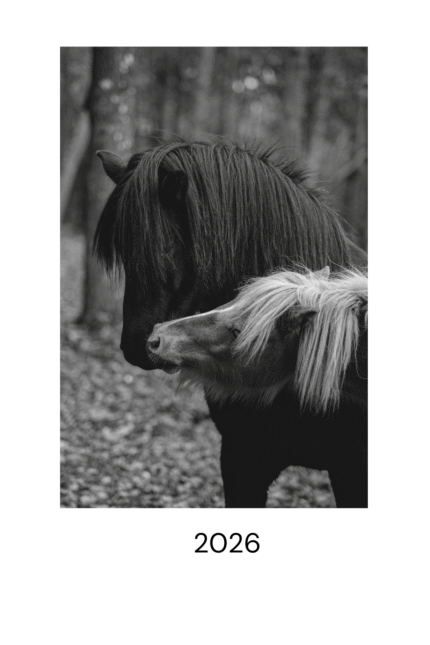 Mustvalge kalender 2026